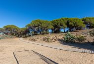Sale - Apartments - Guardamar del Segura