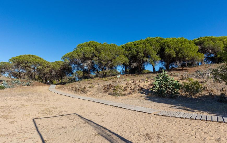 Sale - Apartments - Guardamar del Segura