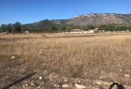 Venta - Terreno - Salinas