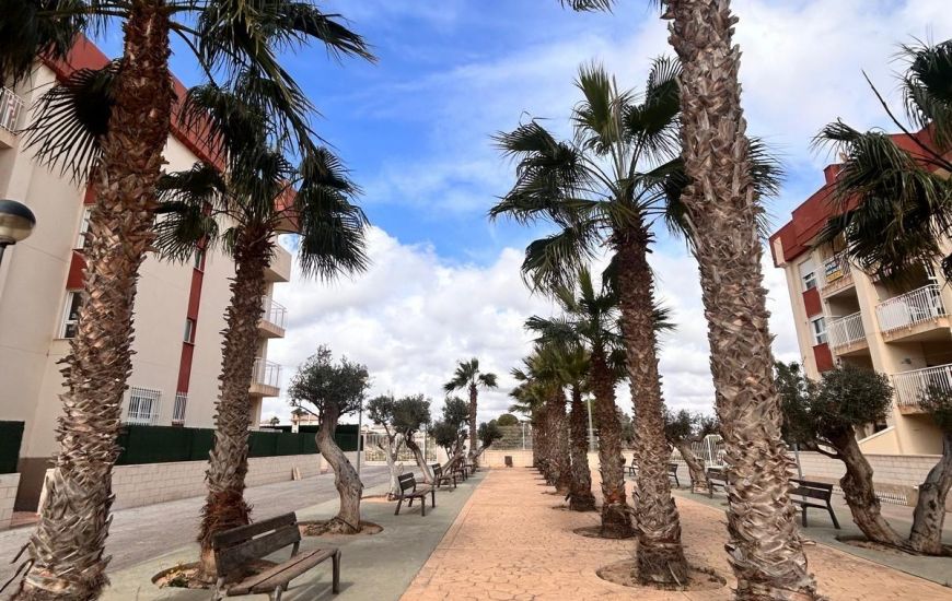 New Build - Apartments - Orihuela Costa New Build - Apartments - Orihuela Costa