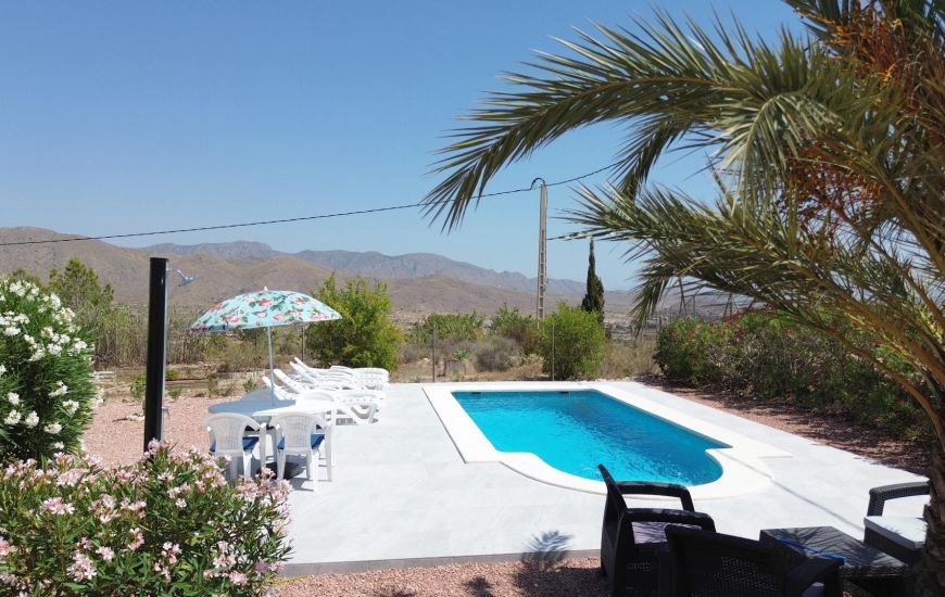 Sale - Villa - Hondon de los Frailes