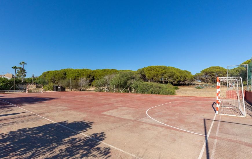Sale - Apartments - Guardamar del Segura