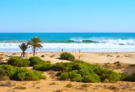 New Build - Villa - Guardamar del Segura