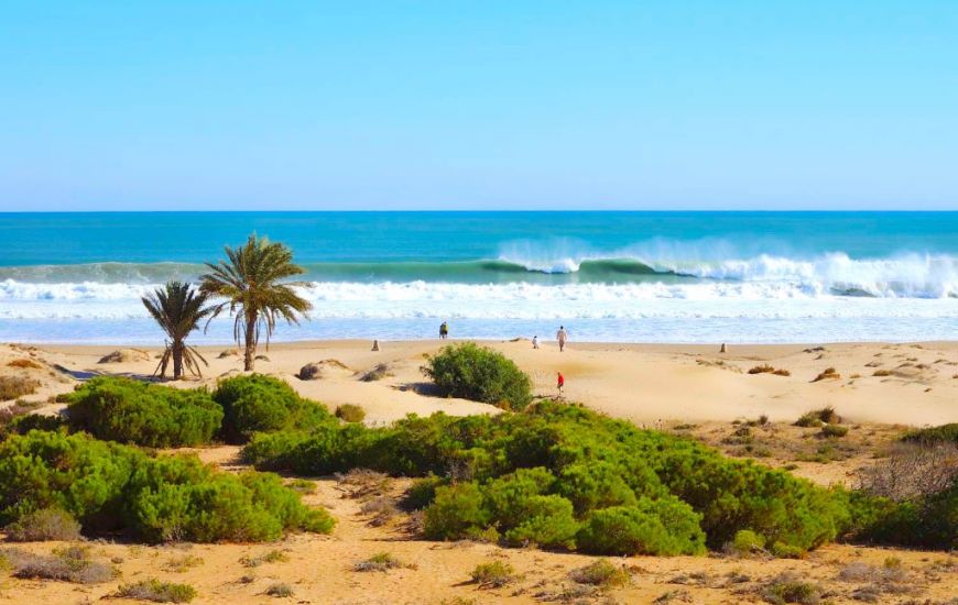 New Build - Villa - Guardamar del Segura