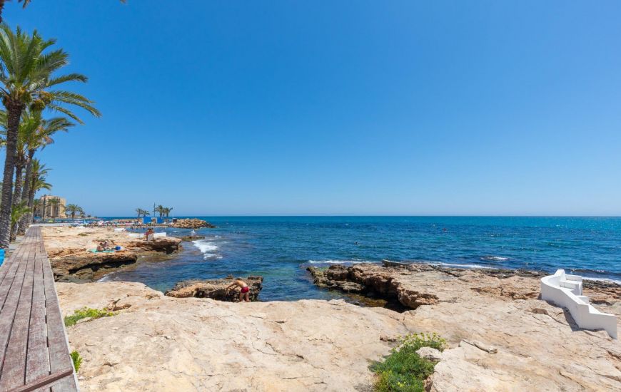 Venta - Apartamentos - Torrevieja