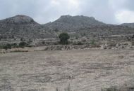 Sale - Land - Novelda