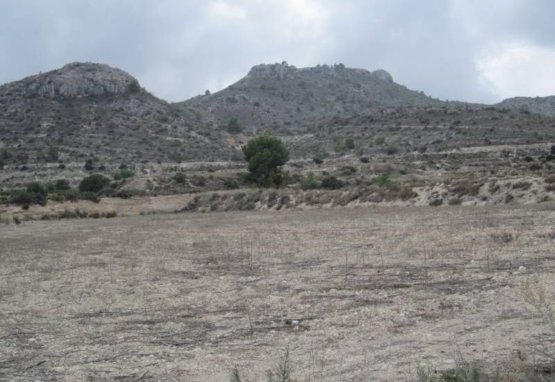 Sale - Land - Novelda