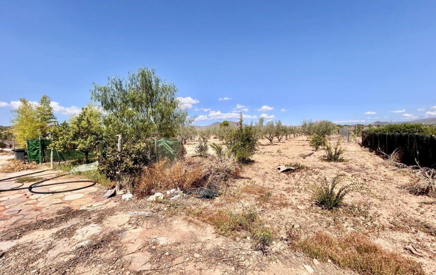 Venta - Casa Rural - Aspe