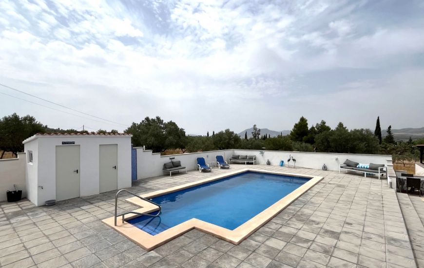 Sale - Finca - Sax
