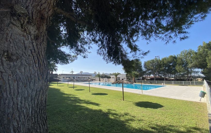 Sale - Apartments - Algorfa