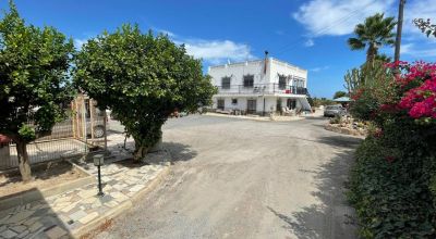 Finca - Sale - San Fulgencio - San Fulgencio