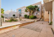 Sale -  - San Miguel de Salinas - 