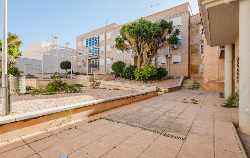 Sale -  - San Miguel de Salinas - 