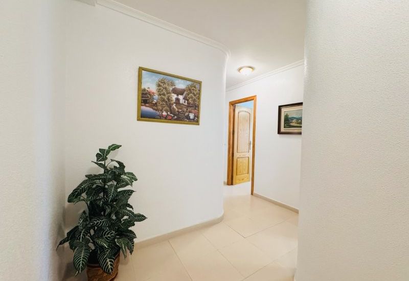 Sale - Apartments - 