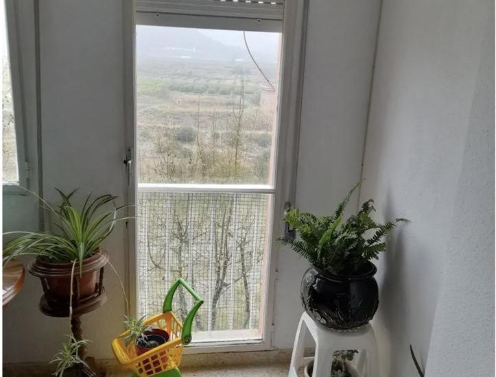 Sale - Apartments - 