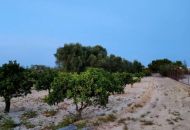 Sale - Villa - 