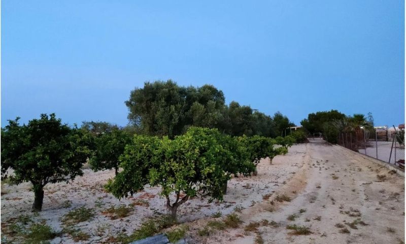Sale - Villa - 