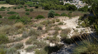 Terreno - Venta - Pinar de Campoverde - Pinar De Campoverde