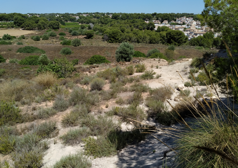 Sale - Land - Pinar de Campoverde - Pinar De Campoverde