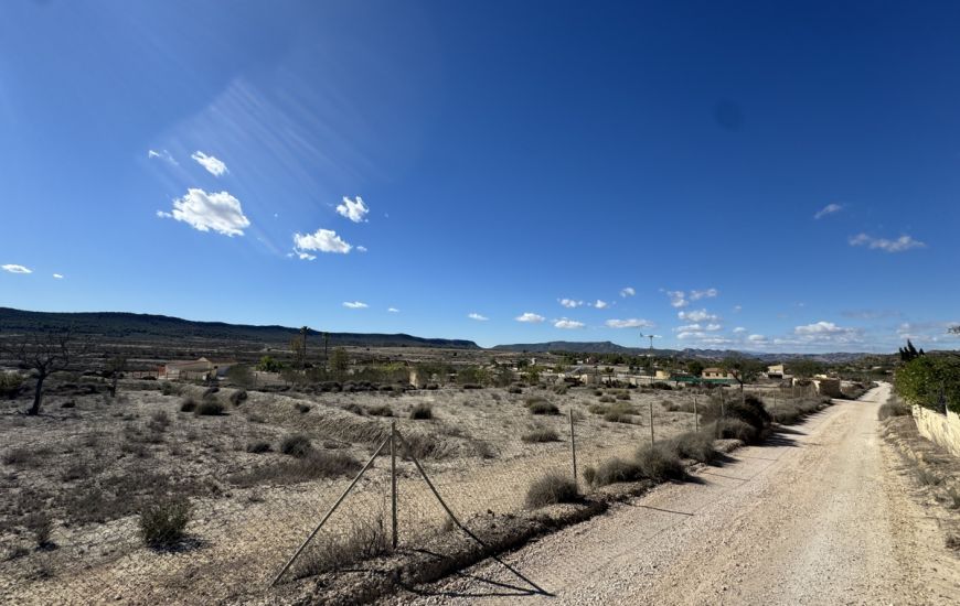 Sale - Finca - Torremendo