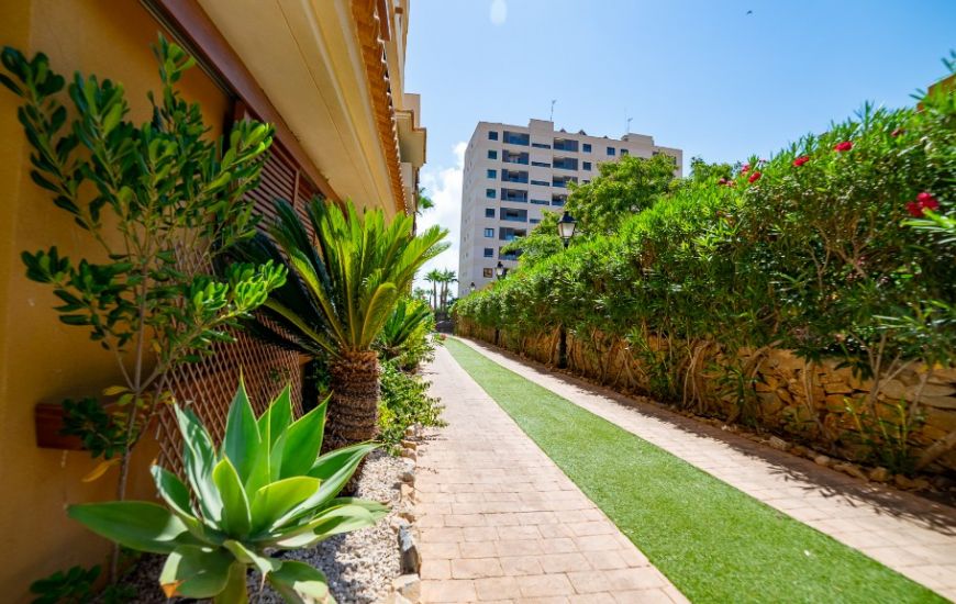 Sale - Apartments - Punta Prima