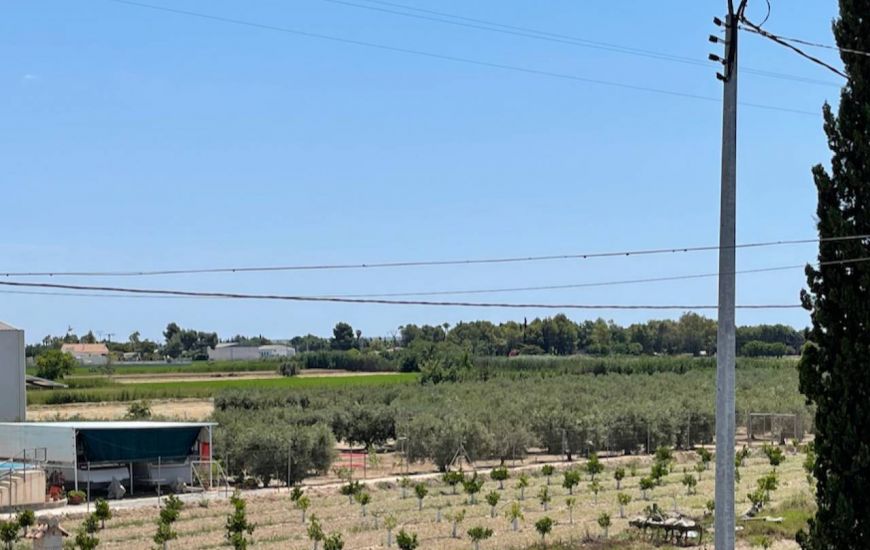 Sale - Villa - Catral