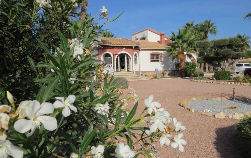 Sale - Finca - Daya Vieja