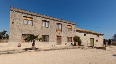 Finca - Sale - Monovar - Monovar