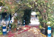 Venta - Villa - Crevillente - Crevillent