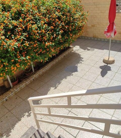 Sale - Villa - 