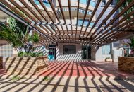 Sale - Apartments - La Zenia