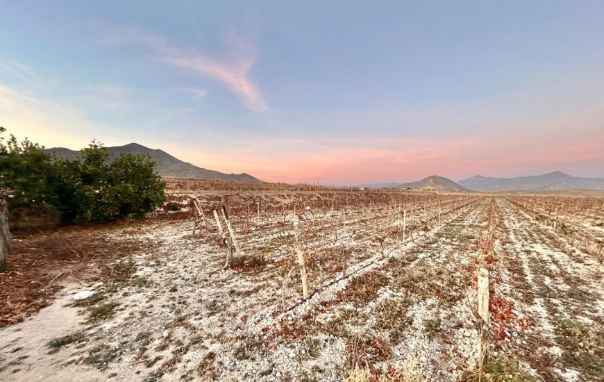 Sale - Land - Novelda