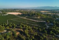 Sale - Apartments - Godella