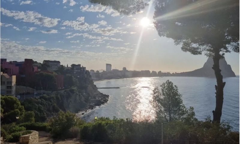 Venta - Apartamentos - 