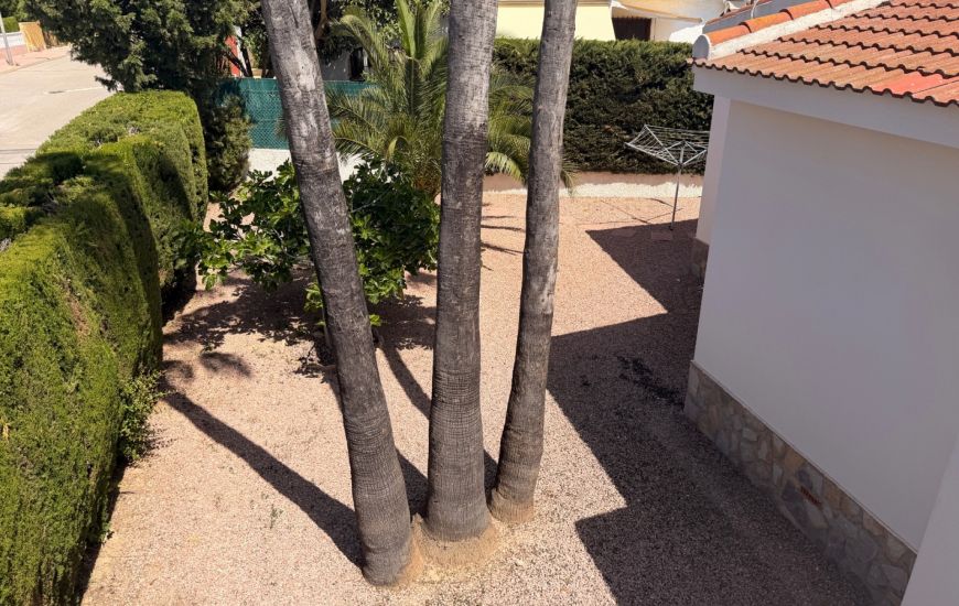 Sale - Villa Detached - Ciudad Quesada