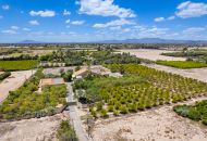 Sale - Country estate - Elche/Elx