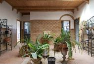 Sale - Finca - 