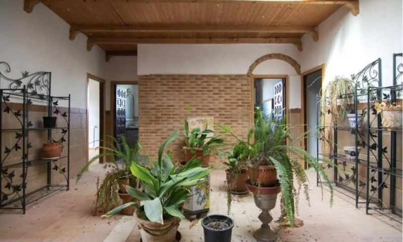 Sale - Finca - 