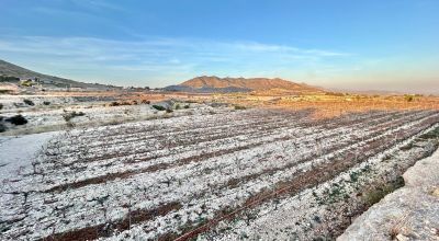 Terreno - Venta - La Romana - La Romana