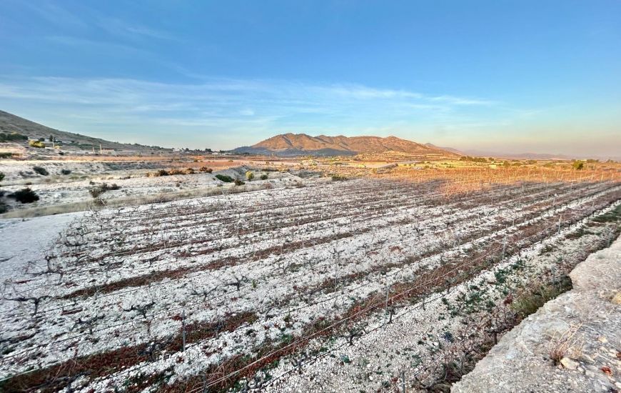 Sale - Land - La Romana