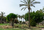 Sale - Villa - Los Altos