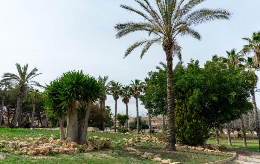 Sale - Villa - Los Altos