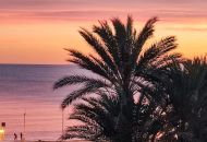 Sale -  - Torrevieja - 