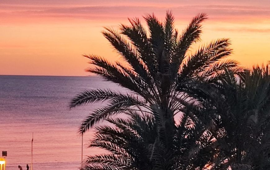 Sale -  - Torrevieja - 