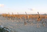 Sale - Land - Novelda