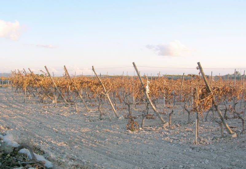 Sale - Land - Novelda