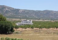 Sale - Apartments - 