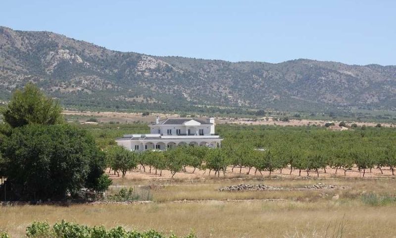Sale - Apartments - 