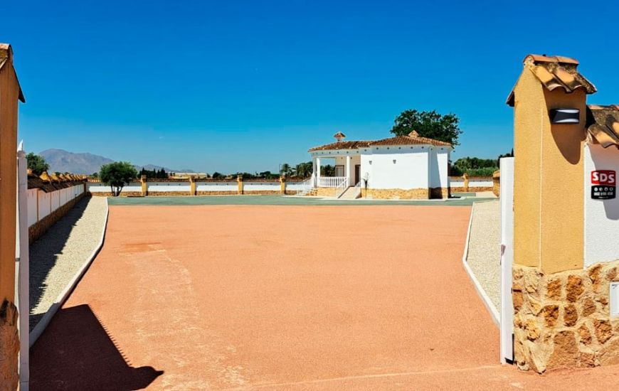 Sale - Finca - Catral