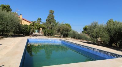 Finca - Sale - Aspe - Aspe
